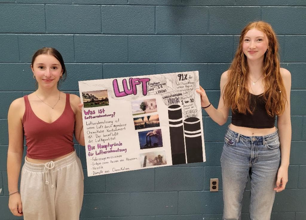 DSD I environment poster gallery walk